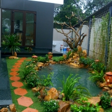 Thi công hồ cá Koi