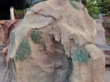 Vách đá nhân tạo 03