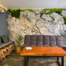 Vách đá nhân tạo 18