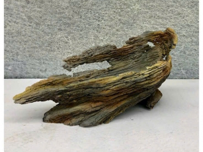 Đắp giả gỗ 02