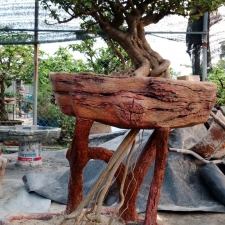 Đắp giả gỗ 03