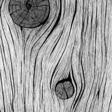 Đắp giả gỗ 08