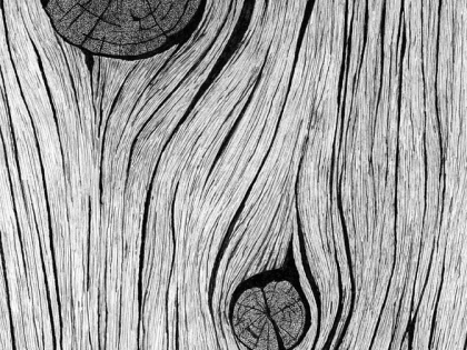 Đắp giả gỗ 08