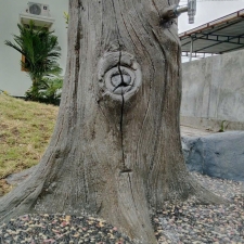 Đắp giả gỗ 10