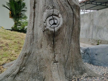 Đắp giả gỗ 10