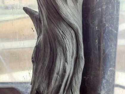 Đắp giả gỗ 11