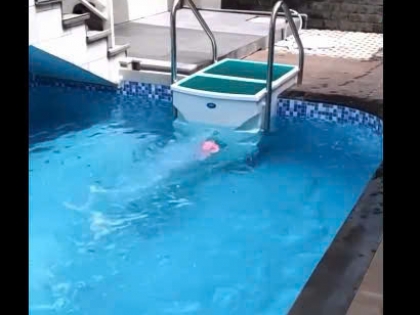 Thi công hồ bơi chuyên nghiệp 10