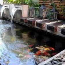 Thi công hồ cá koi 01