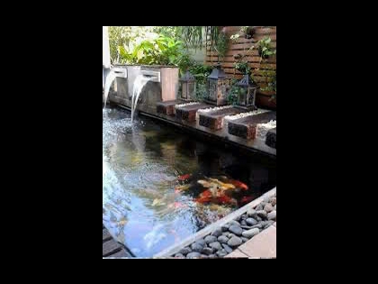Thi công hồ cá koi 01