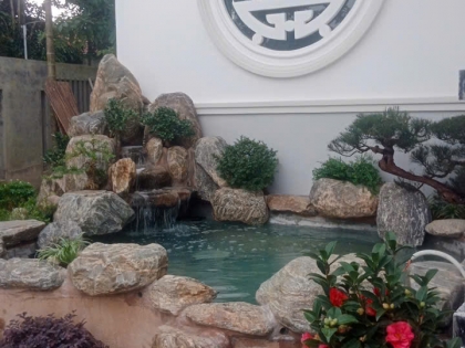 Thi công hồ cá koi 02