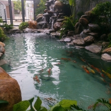 Thi công hồ cá koi 03