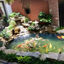 Thi công hồ cá koi 06