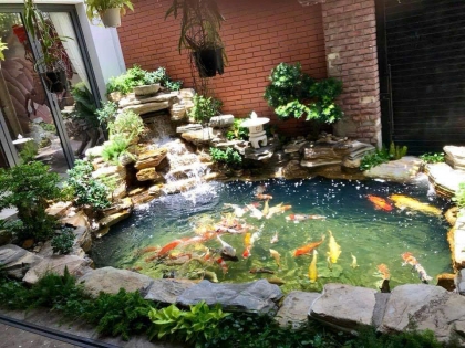 Thi công hồ cá koi 06