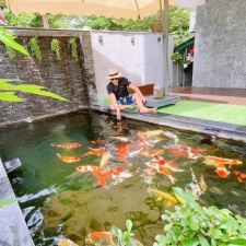 Thi công hồ cá koi 07