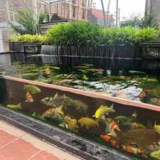 Thi công hồ cá koi 08