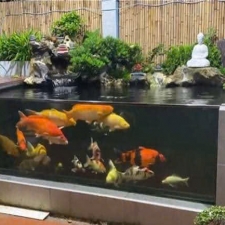 Thi công hồ cá koi 09