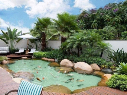 Thi công hồ cá koi 10