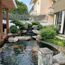 Thi công hồ cá koi 11