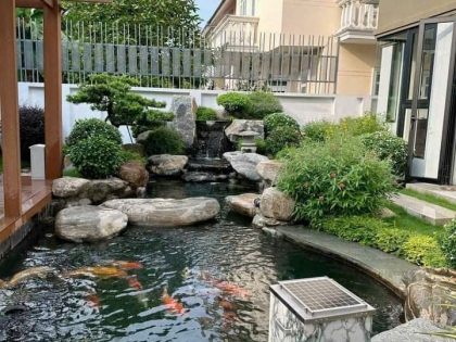 Thi công hồ cá koi 11