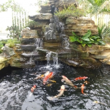 Thi công hồ cá koi 12