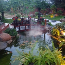 Thi công hồ cá koi 14