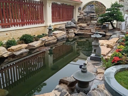 Thi công hồ cá koi 15
