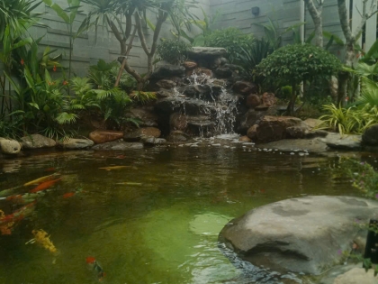 Thi công hồ cá koi 16