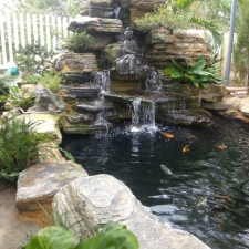 Thi công hồ cá koi 17