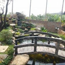 Thi công hồ cá koi 19