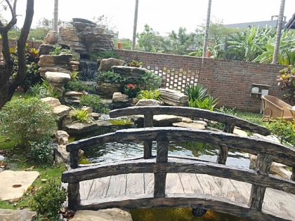 Thi công hồ cá koi 19