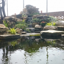 Thi công hồ cá koi 20