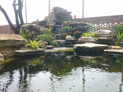 Thi công hồ cá koi 20