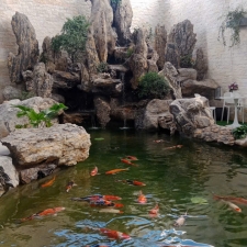 Thi công hồ cá koi 21