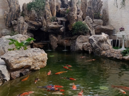Thi công hồ cá koi 21