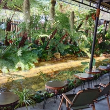 Thi công hồ cá koi trải bạt hdpe 01