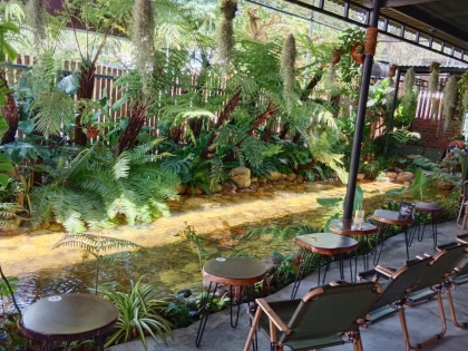 Thi công hồ cá koi trải bạt hdpe 01