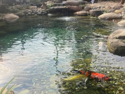 Thi công hồ cá koi trải bạt hdpe 08