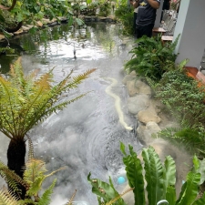 Thi công hồ cá koi trải bạt hdpe 11