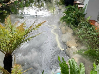 Thi công hồ cá koi trải bạt hdpe 11