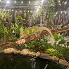 Thi công hồ cá koi trải bạt hdpe 13