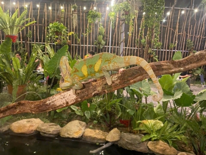 Thi công hồ cá koi trải bạt hdpe 13