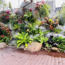 Thi công  vườn cây nhiệt đới 01