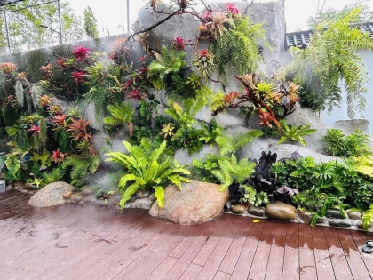 Thi công  vườn cây nhiệt đới 01