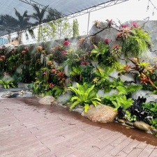 Thi công  vườn cây nhiệt đới 02