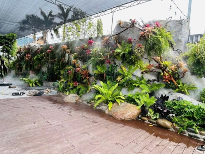 Thi công  vườn cây nhiệt đới 02