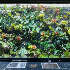 Thi công  vườn cây nhiệt đới 03