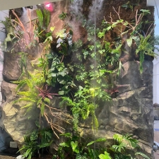 Thi công  vườn cây nhiệt đới 06