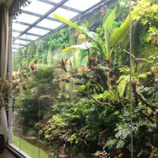 Thi công  vườn cây nhiệt đới 09