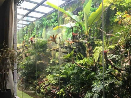 Thi công  vườn cây nhiệt đới 09