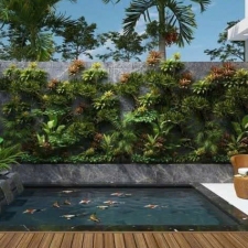 Thi công  vườn cây nhiệt đới 10